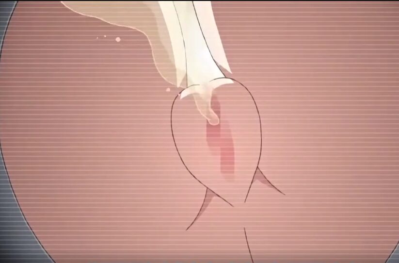 Thumbnail of post image 053